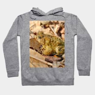 Toad Camouflage Amongst the Leaves Photograph Hoodie
